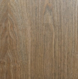 Milford sound alder recolored